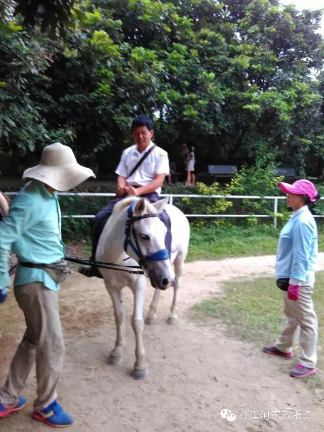 ���ҷ���׌��������á�2015��B�T(m��n)�м�����(ji��)���(d��ng)��