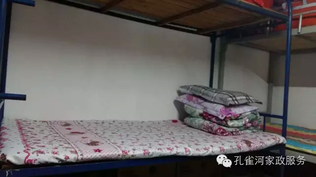 ��ȸ�Ӽ�����ķ������ů��ů��������