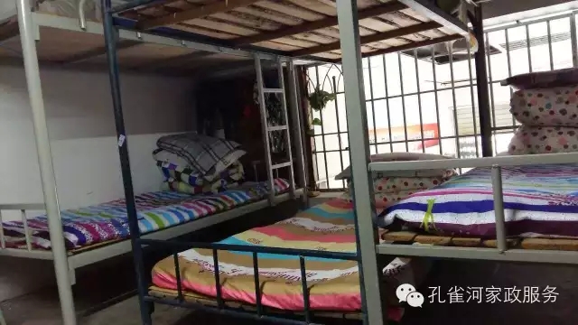 ��ȸ�Ӽ�����ķ������ů��ů�����ģ�