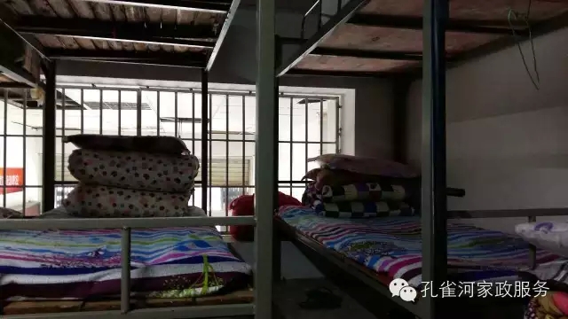 ��ȸ�Ӽ�����ķ������ů��ů��������