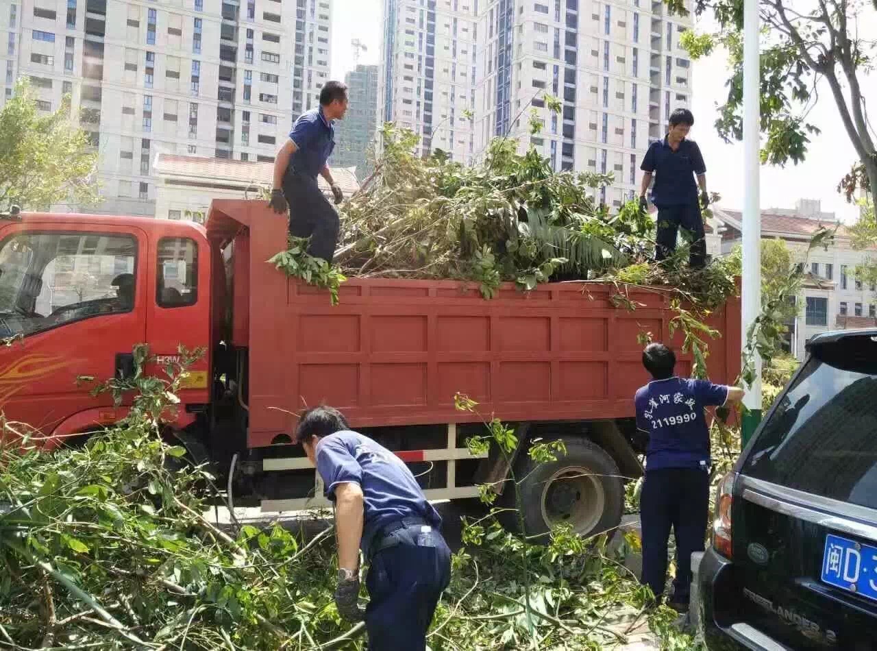 廈門家政公司接力災(zāi)后重建義工活動(dòng)