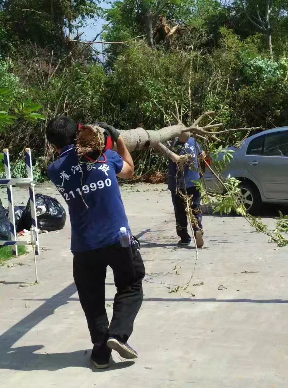 廈門家政公司接力災(zāi)后重建義工活動(dòng)