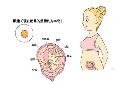 �������ӿ���������Ů