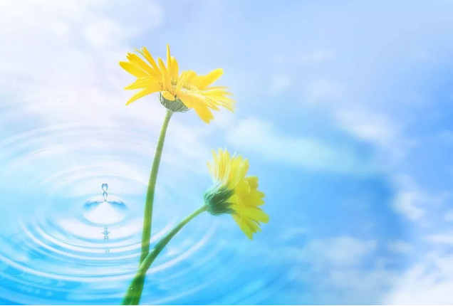 2018經(jīng)典最新感說說,適合做個性簽名!